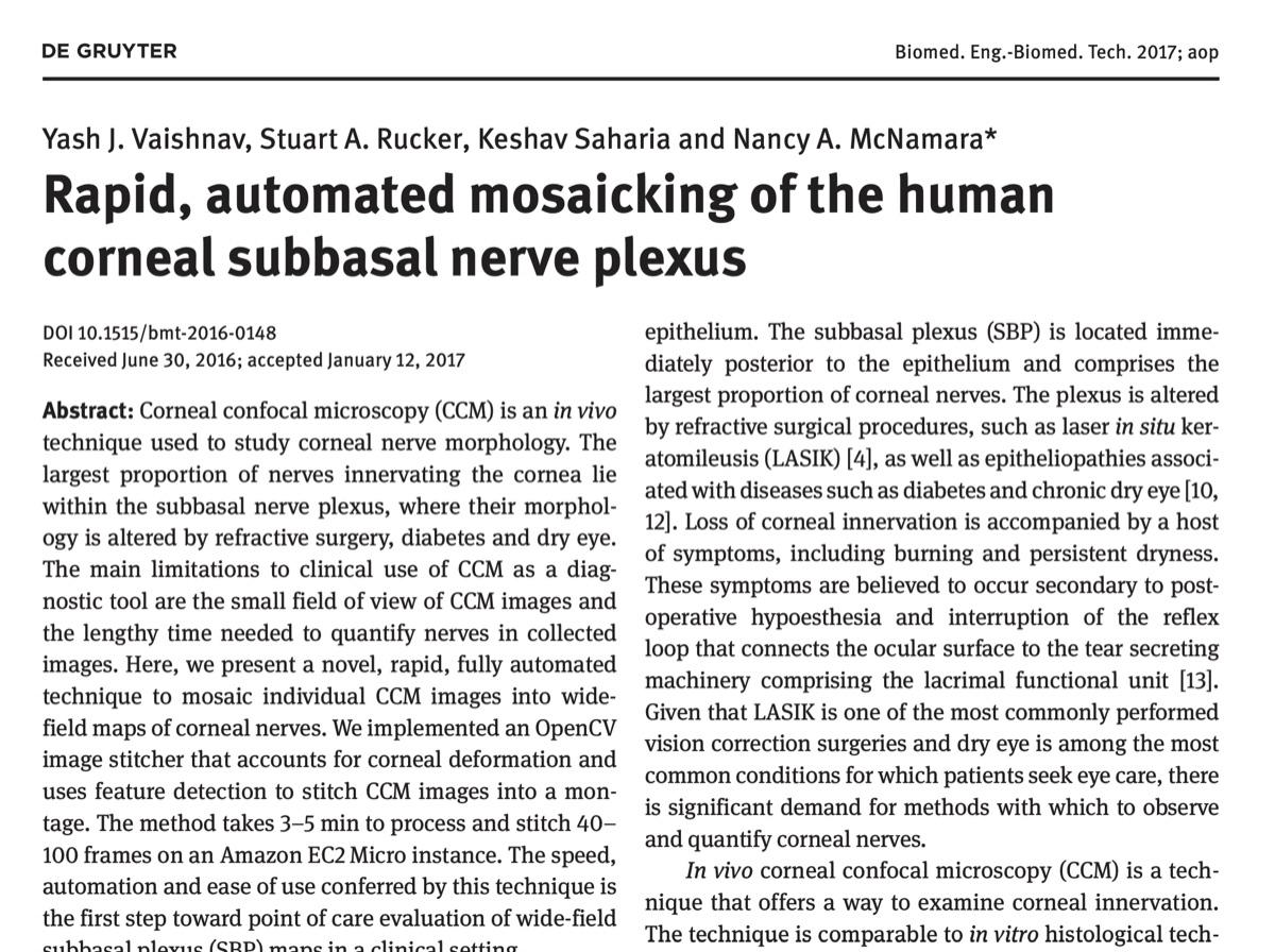 The first page of the published paper in Biomedical Engineering / Biomedizinische Technik
