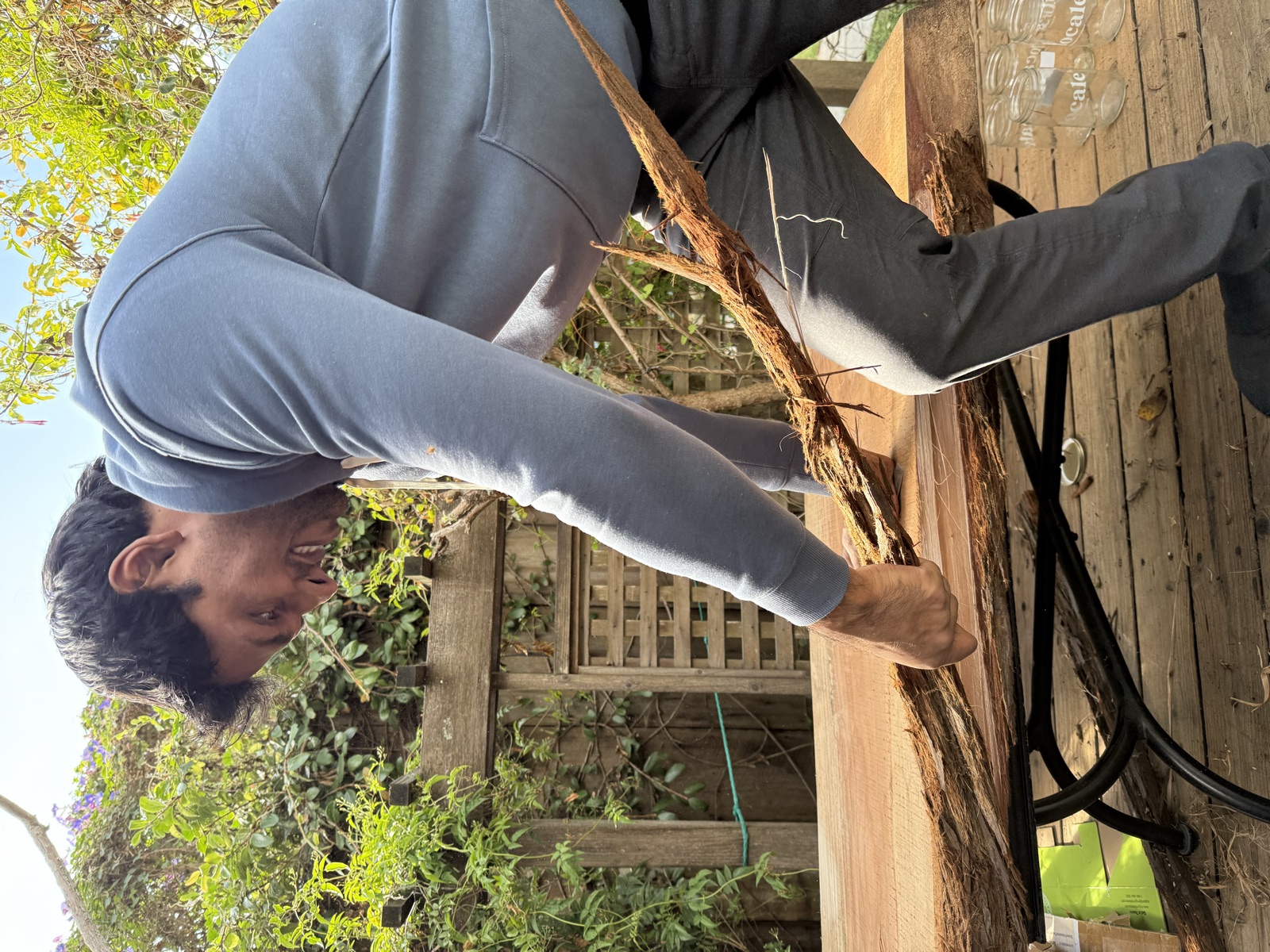 Pulling a long strip of bark off the live edge of the slab on the deck