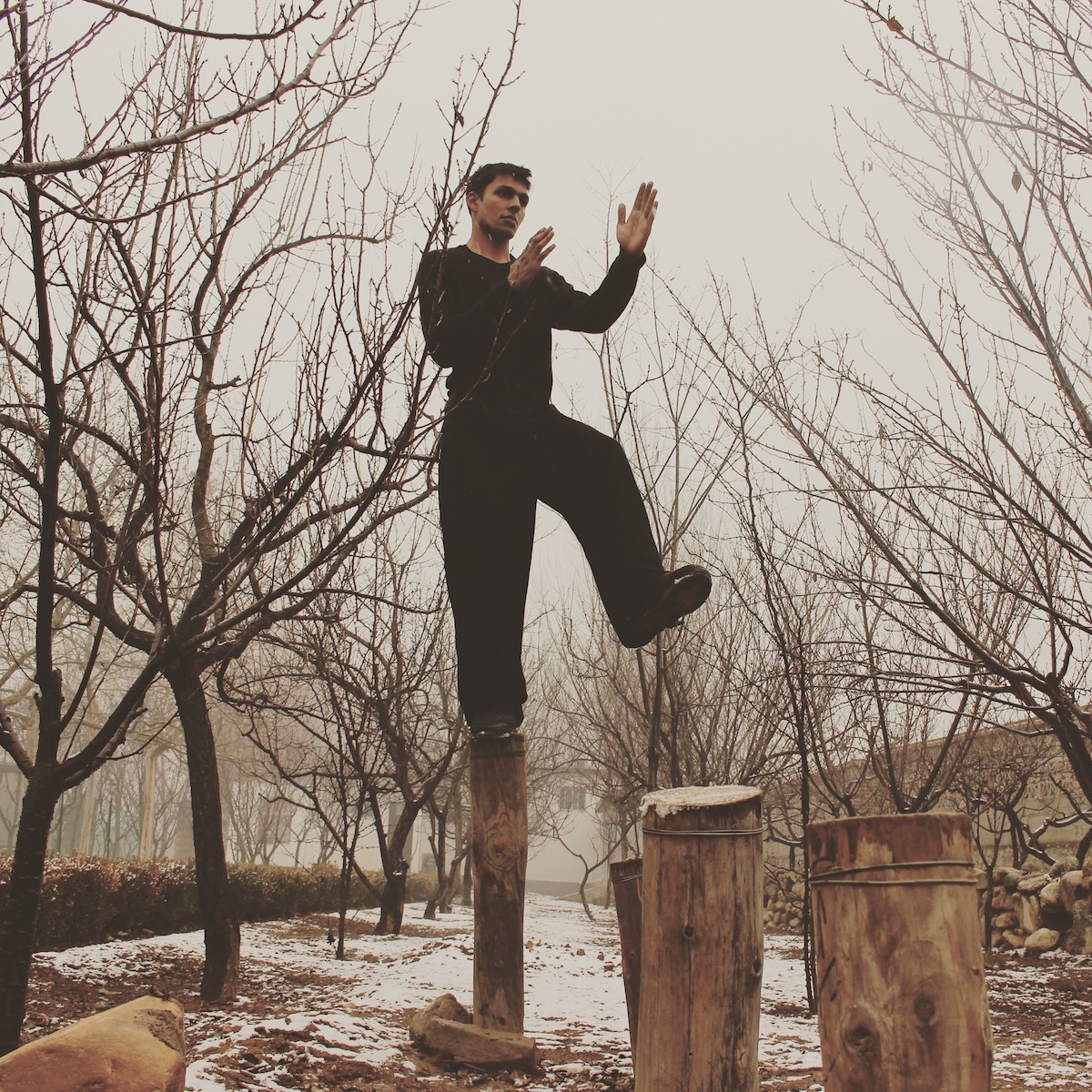 Balancing on one leg atop a wooden stump in a bare winter orchard dusted with snow